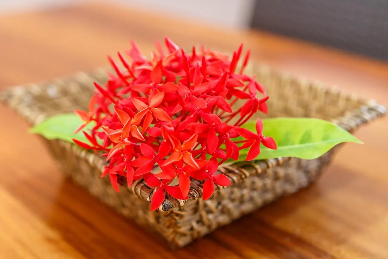 Fleur De Sel Aparthotel Anse Royale